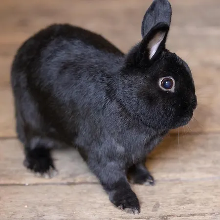 Hochfeldhof Apartamento