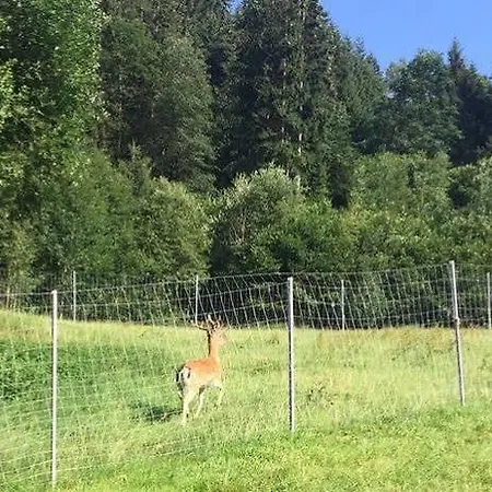 Hochfeldhof Appartamento Zell am Ziller
