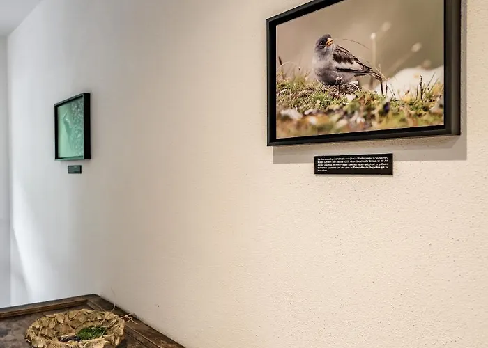 Hochfeldhof - Im Urlaub Zu Hause * Zell am Ziller