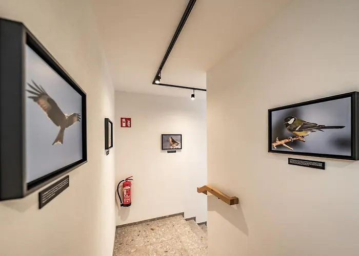 Apartman Hochfeldhof - Im Urlaub Zu Hause