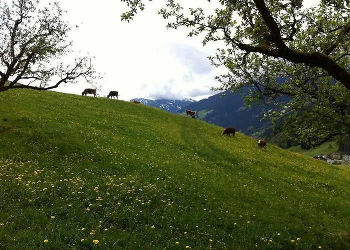 Hochfeldhof - Im Urlaub Zu Hause Zell am Ziller