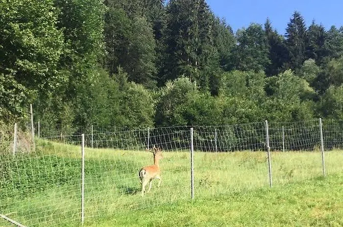 Hochfeldhof - Im Urlaub Zu Hause Apartman Zell am Ziller