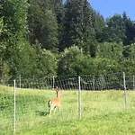 Hochfeldhof - Im Urlaub Zu Hause Lejlighed Zell am Ziller