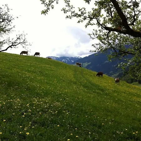 Hochfeldhof - Im Urlaub Zuhause Zell am Ziller